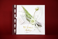 albumy